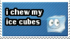i chew my ice cubes